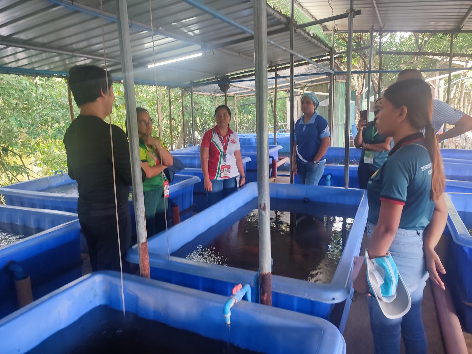 Technical visitors reviewing the Brackish hatchery tank layout