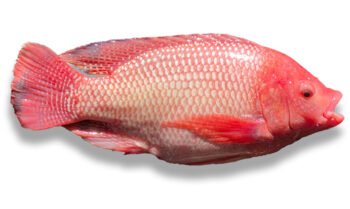 3 3